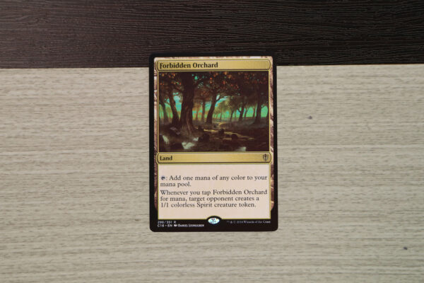 Forbidden Orchard C16 hologram