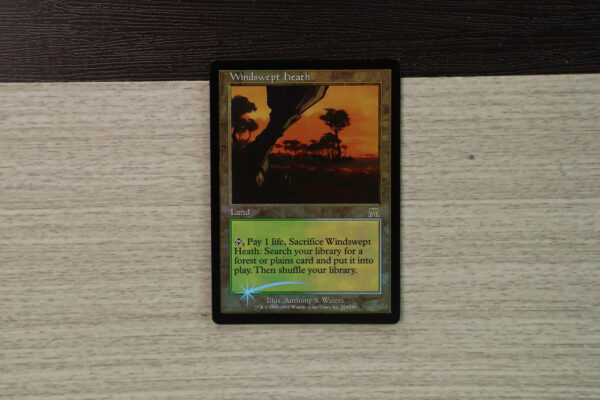 Windswept heath Onslaught foil