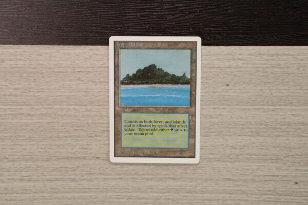 Tropical Island Unlimited normal