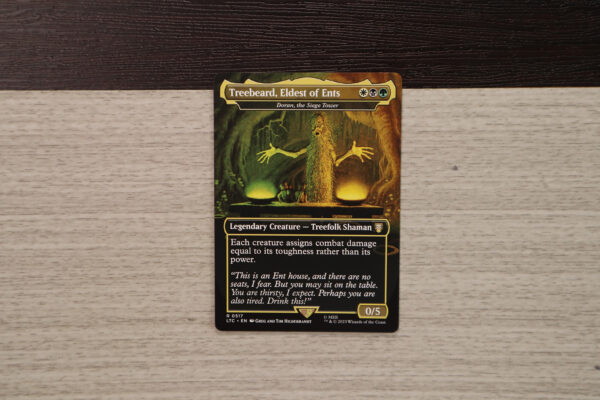 Doran, the Siege Tower #517 LTC hologram