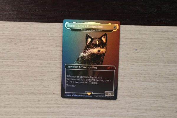 Yoshimaru, Ever Faithful Torgal, Clive's Companion PF25 foil