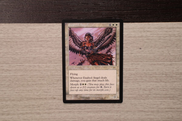 Exalted Angel ONS normal