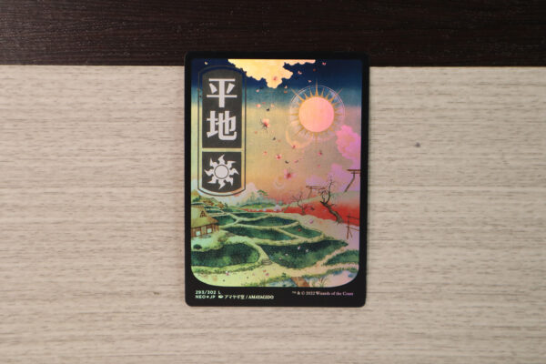 Plains #293 NEO foil